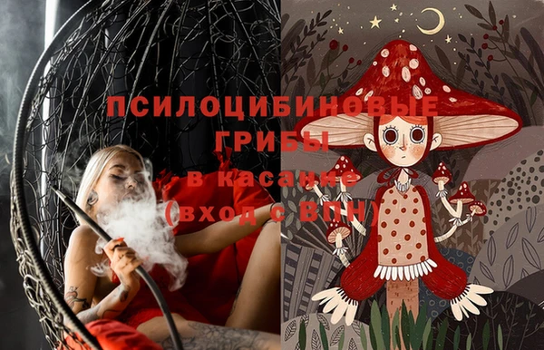 прущие крисы Балахна